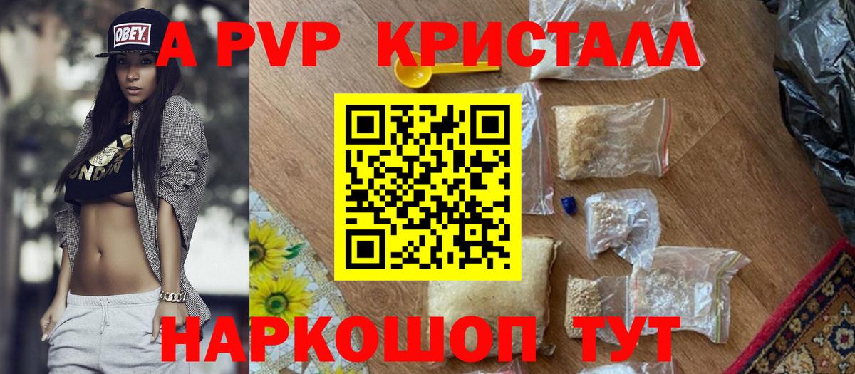 Alfa_PVP СК Мичуринск