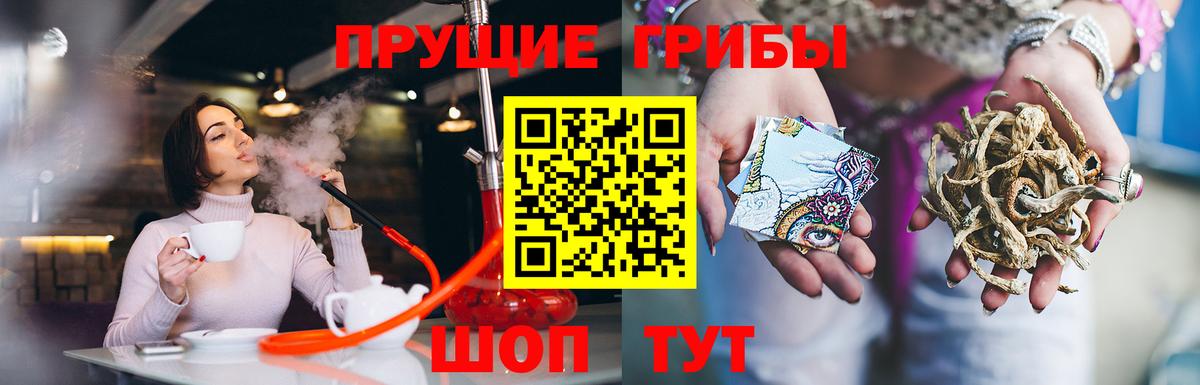 Мичуринск  Галлюциногенные грибы прущие грибы  Галлюциногенные грибы мицелий  Вход с VPN 