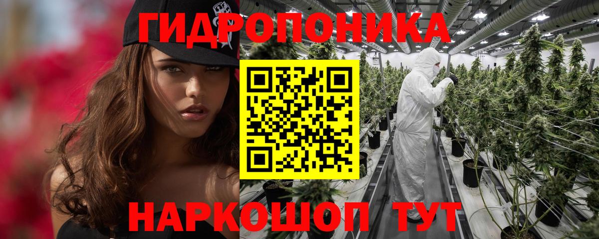 Конопля ГИДРОПОН Мичуринск